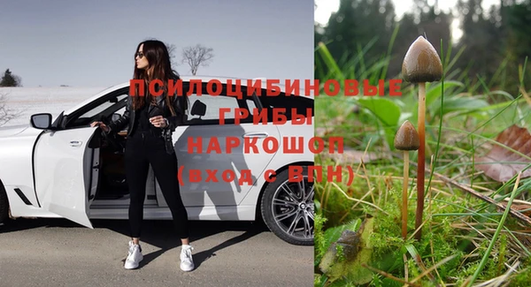 первитин Лиски