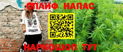 гашик Бузулук
