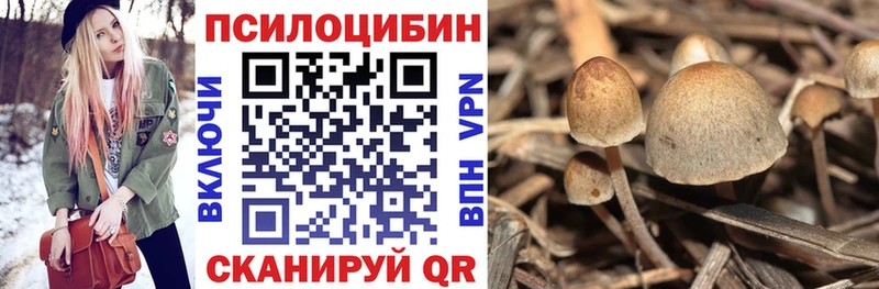 Галлюциногенные грибы Psilocybine cubensis  Невинномысск 