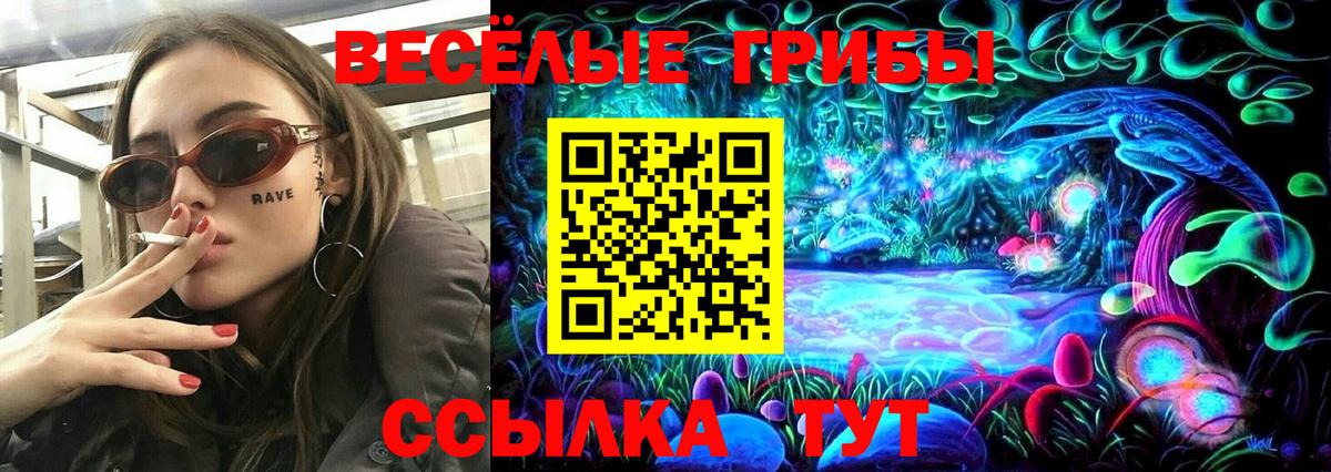 Галлюциногенные грибы Psilocybine cubensis Невинномысск